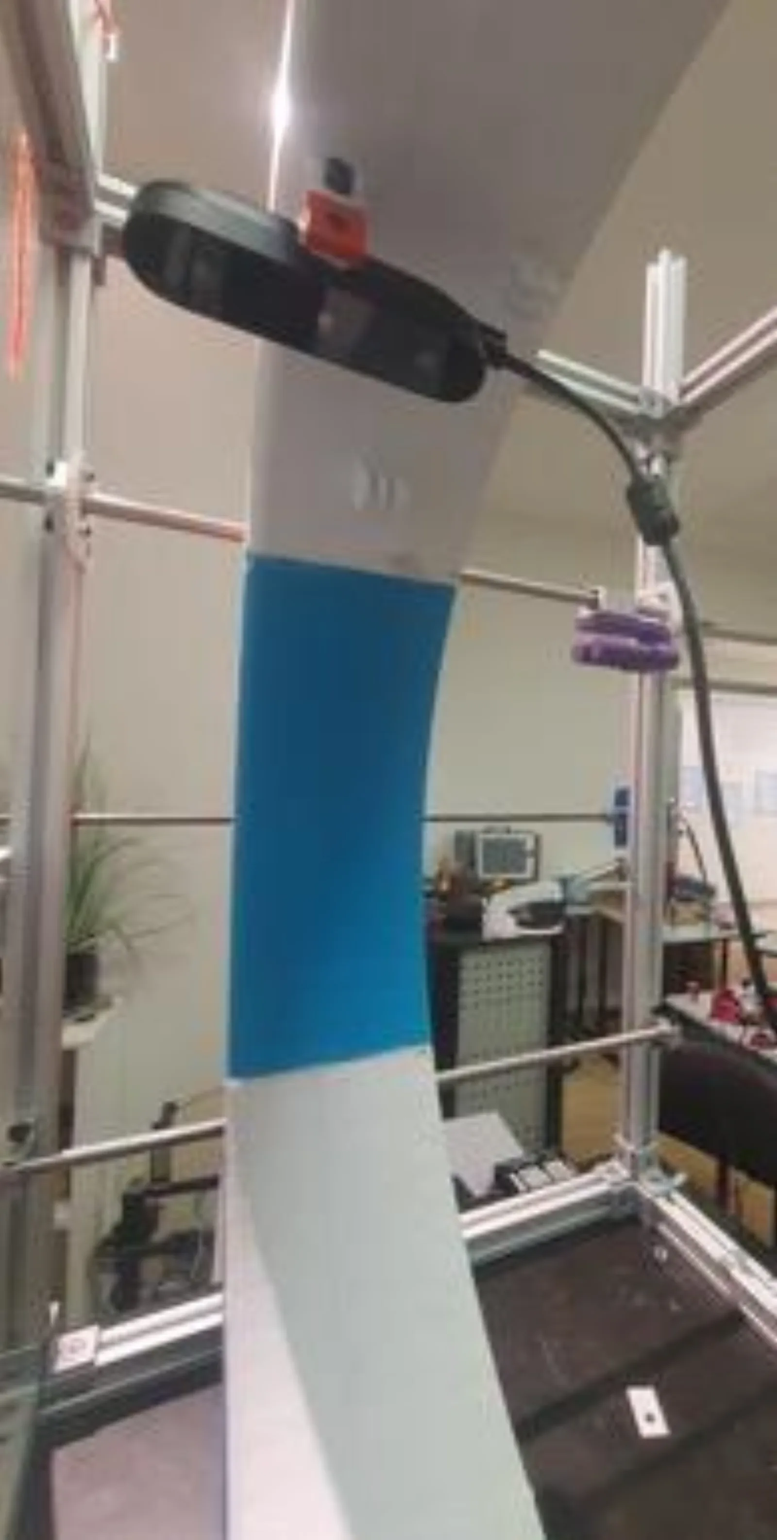 Scanner with limb positioned for capture